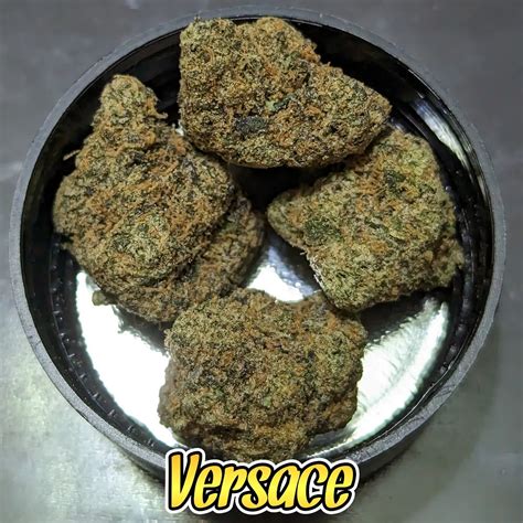 18 carat versace cannapower|Strain Review: Versace by Fresh Baked .